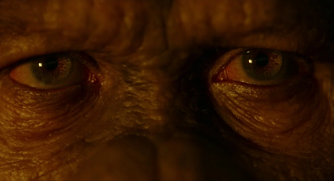 Dawn of the Planet of the Apes (2014) movie still: closeup — An extreme close-up focuses entirely on the detailed, textured skin and eyes of a…