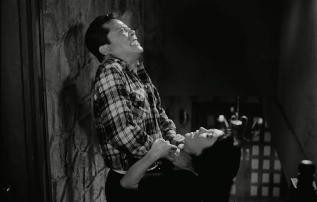 The Housemaid (1960) movie still: medium — A dark indoor staircase features a textured stone wall behind two people. The man grips the woman by her…