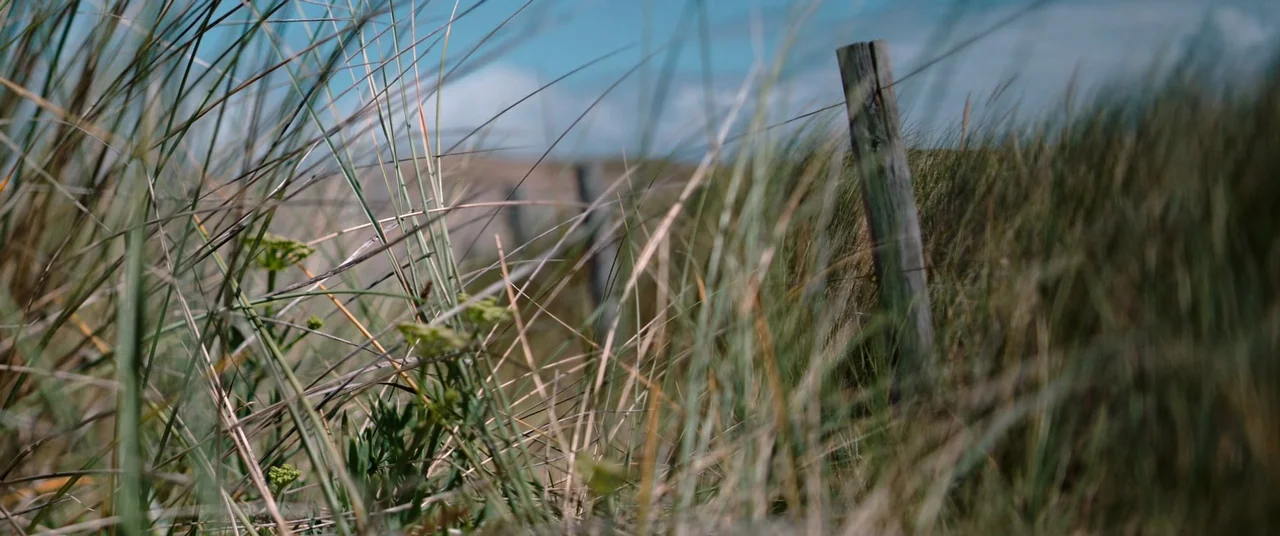 Oxygen (2021) movie still: establishing — Coastal sand dunes feature tall green grass and weathered wooden fence posts. The landscape stretches…