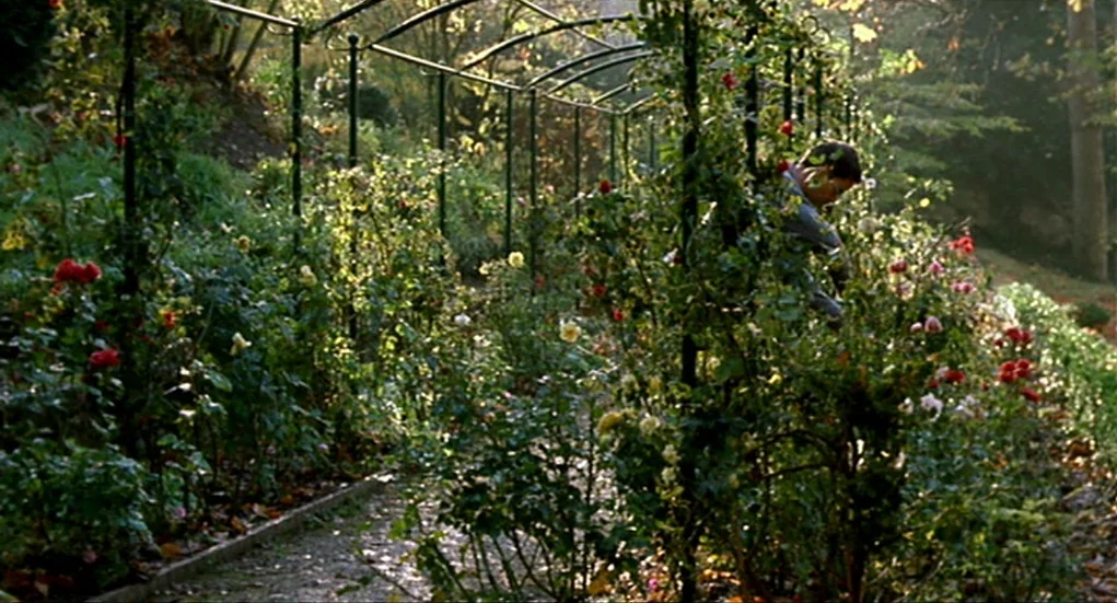 Tiresia (2003) movie still: medium — A man stands within a shaded rose pergola surrounded by climbing rose bushes. He is working among the leaves…