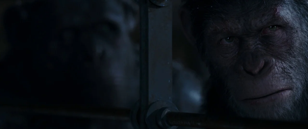 War for the Planet of the Apes (2017) movie still: medium — A dark enclosure features two chimpanzees positioned behind heavy metal vertical and…