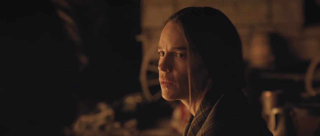 The Homesman (2014) movie still: closeup — A dimly lit interior space with the wooden structure of a wagon visible. A woman with long dark hair…