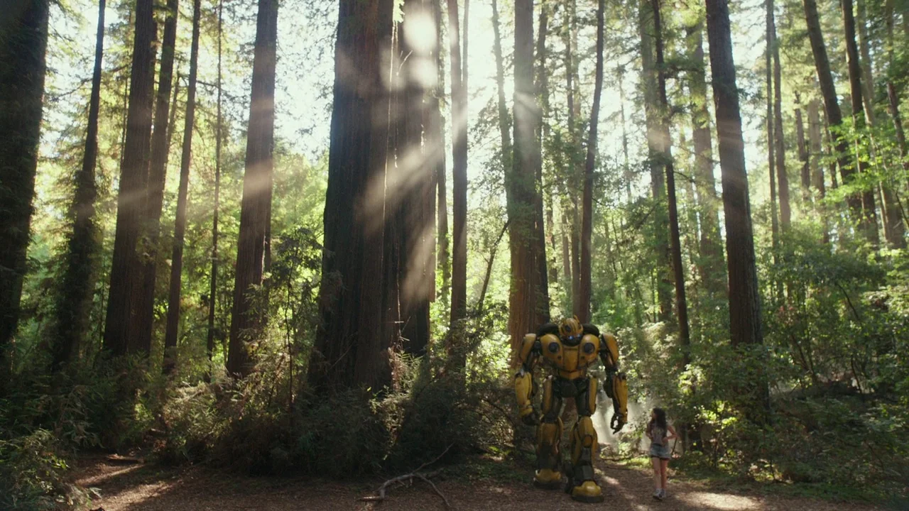 Bumblebee (2018) movie still: wide — A dense grove of tall redwood trees with sunbeams cutting through the canopy. A large yellow robot walks…