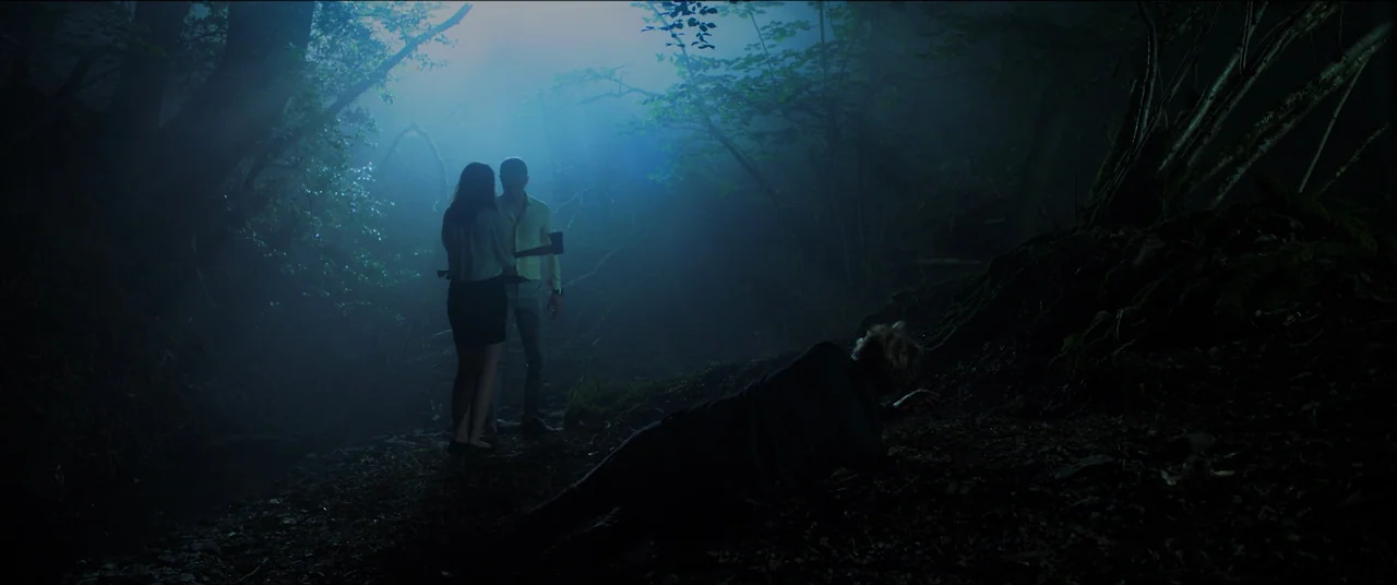 The Feast (2021) movie still: wide — A dense, fog-filled woodland area at night with gnarled tree roots and dark soil. Two individuals stand…