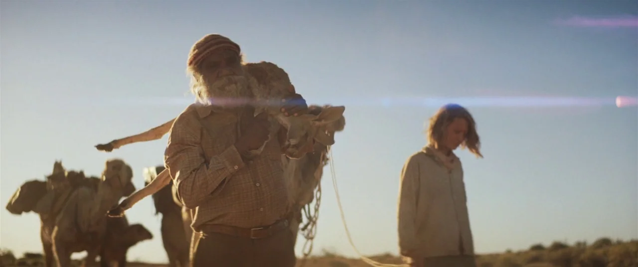 Tracks (2013) movie still: medium — An arid, sun-bleached desert expanse stretches toward the horizon under a clear sky. An elderly man leads camels…