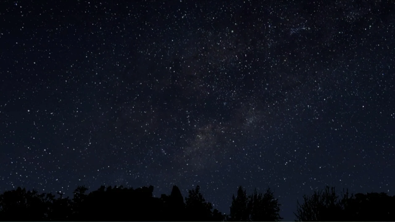 Alien Abduction: Betty and Barney Hill (2022) movie still: establishing — A vast night sky filled with stars stretches above a silhouetted tree…