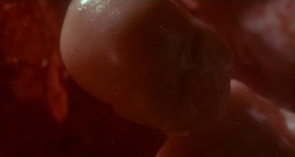A Nightmare On Elm Street 5: The Dream Child (1989) movie still: closeup — A fetus floats inside a dark red, fluid-filled environment with visible…