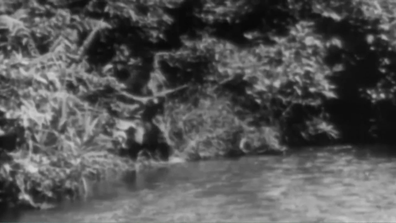 Finding Amelia (2024) movie still: wide — A dense riverbank covered in thick tropical vegetation borders a flowing, murky stream. The scene remains…