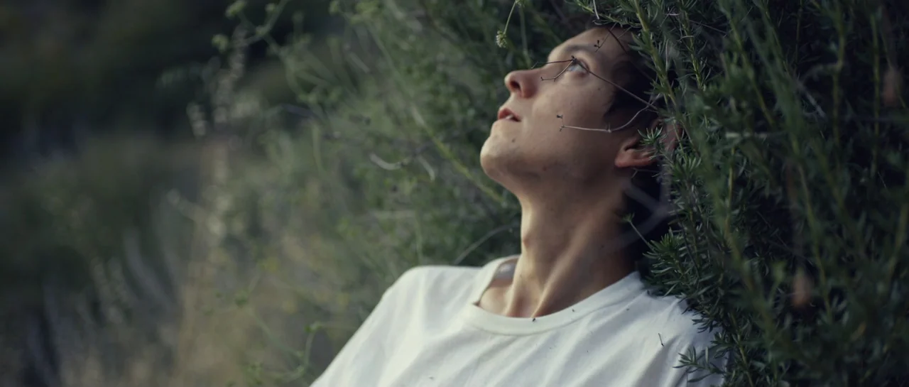 La presencia (2012) movie still: medium — A young man lies against a thick patch of dense green shrubs outdoors. The subject is reclined in the…