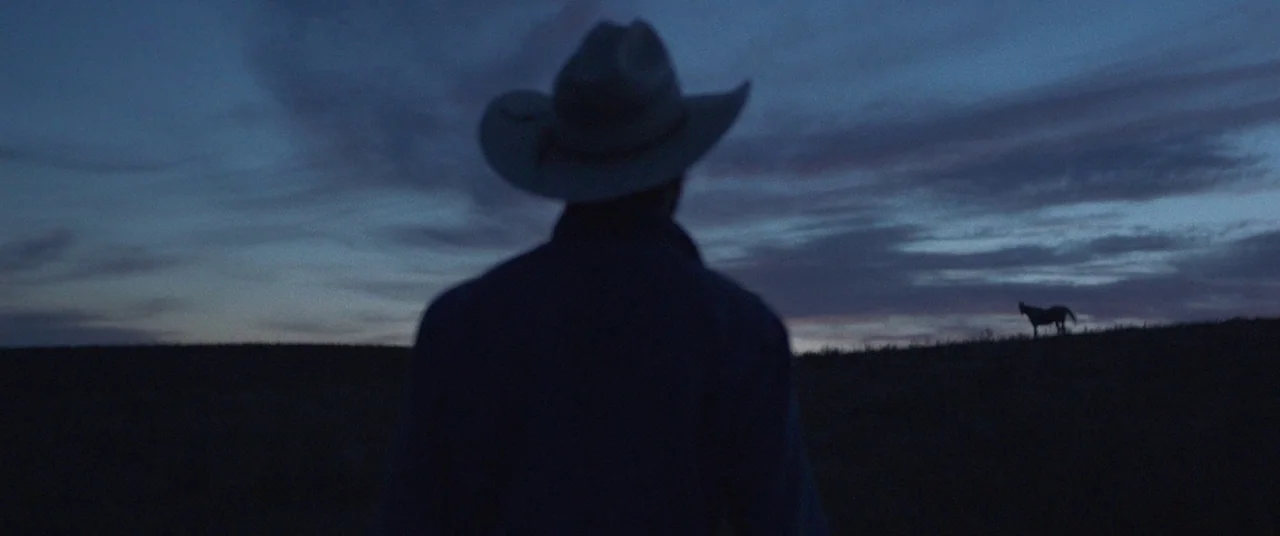 The Rider (2017) movie still: medium — A dark, silhouetted figure stands in an open grassy field during twilight hours. A single horse is visible in…