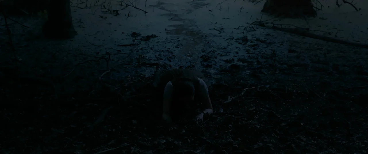 Hagazussa (2017) movie still: wide — A dark, muddy woodland swamp floor is covered in damp leaves and tangled branches. A woman crawls through the…