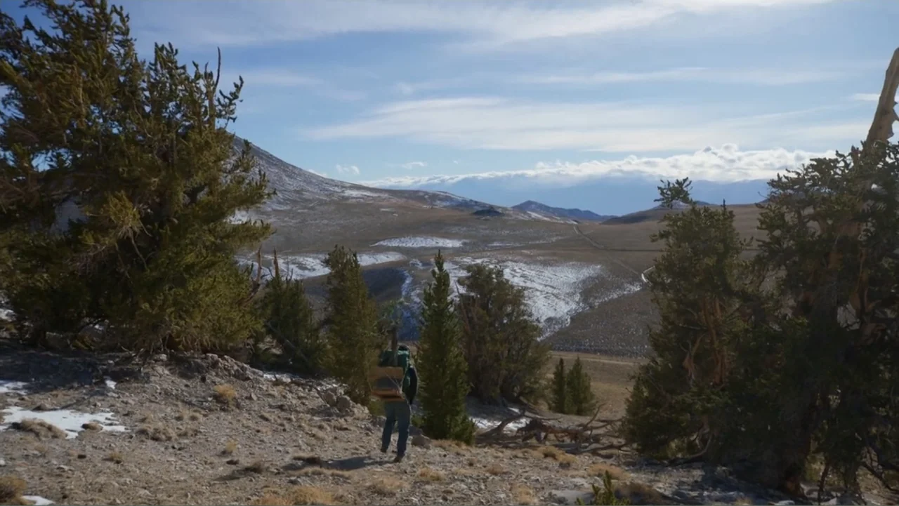 Trees and Other Entanglements (2023) movie still: wide — A high-altitude mountainous landscape features sparse evergreen trees and patches of…