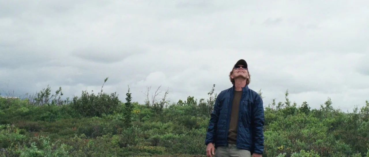 Wildlike (2014) movie still: medium — A vast, open landscape covered in low green shrubs under a heavy overcast sky. A man stands in the foreground,…