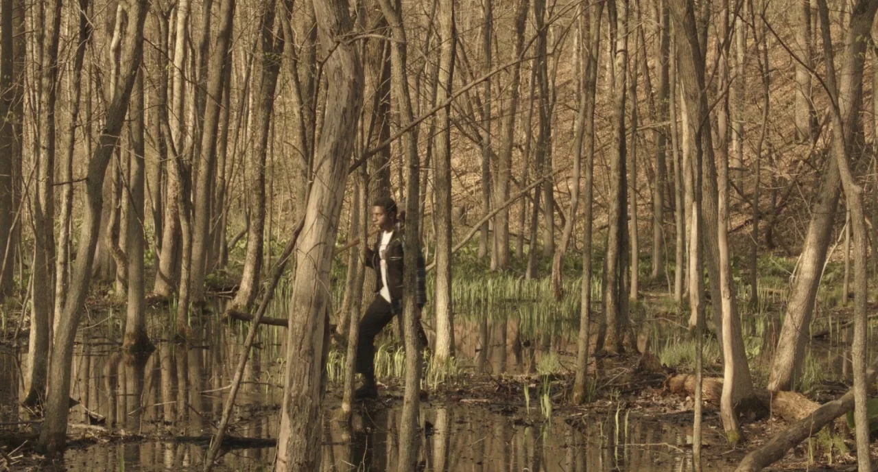 The Alchemist Cookbook (2016) movie still: wide — A dense swampy woodland features tall leafless trees emerging from shallow standing water. A man…