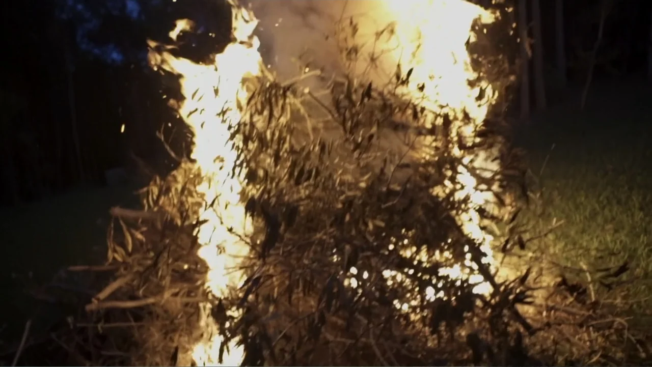 The Witch of Kings Cross (2020) movie still: medium — A pile of dry brush and leafless branches is engulfed in bright orange flames. Sparks and…