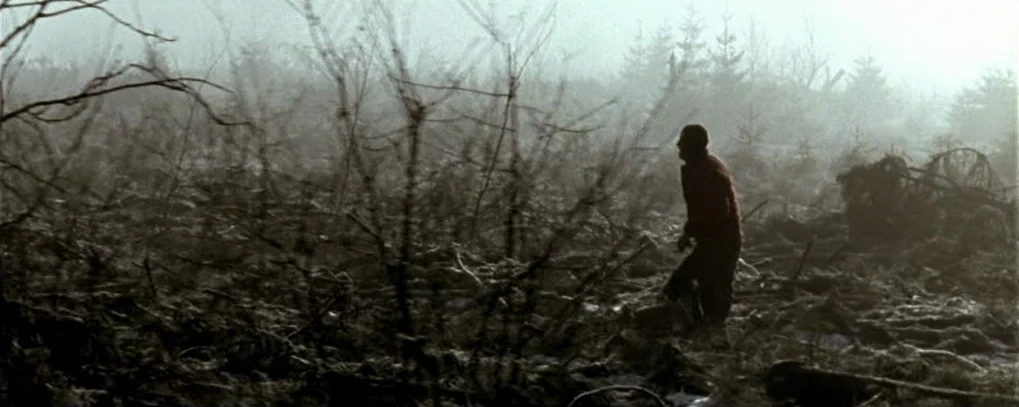 Calvaire (2004) movie still: wide — A dense, fog-drenched forest features bare trees and low-lying brush under an overcast sky. A lone man walks…