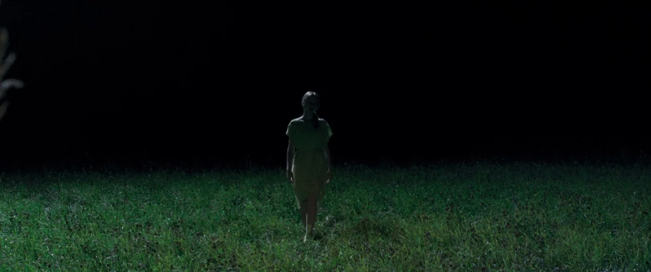 Goodnight Mommy (2014) movie still: wide — A dark, grassy field is illuminated by a singular light source at night. A woman stands in the center of…