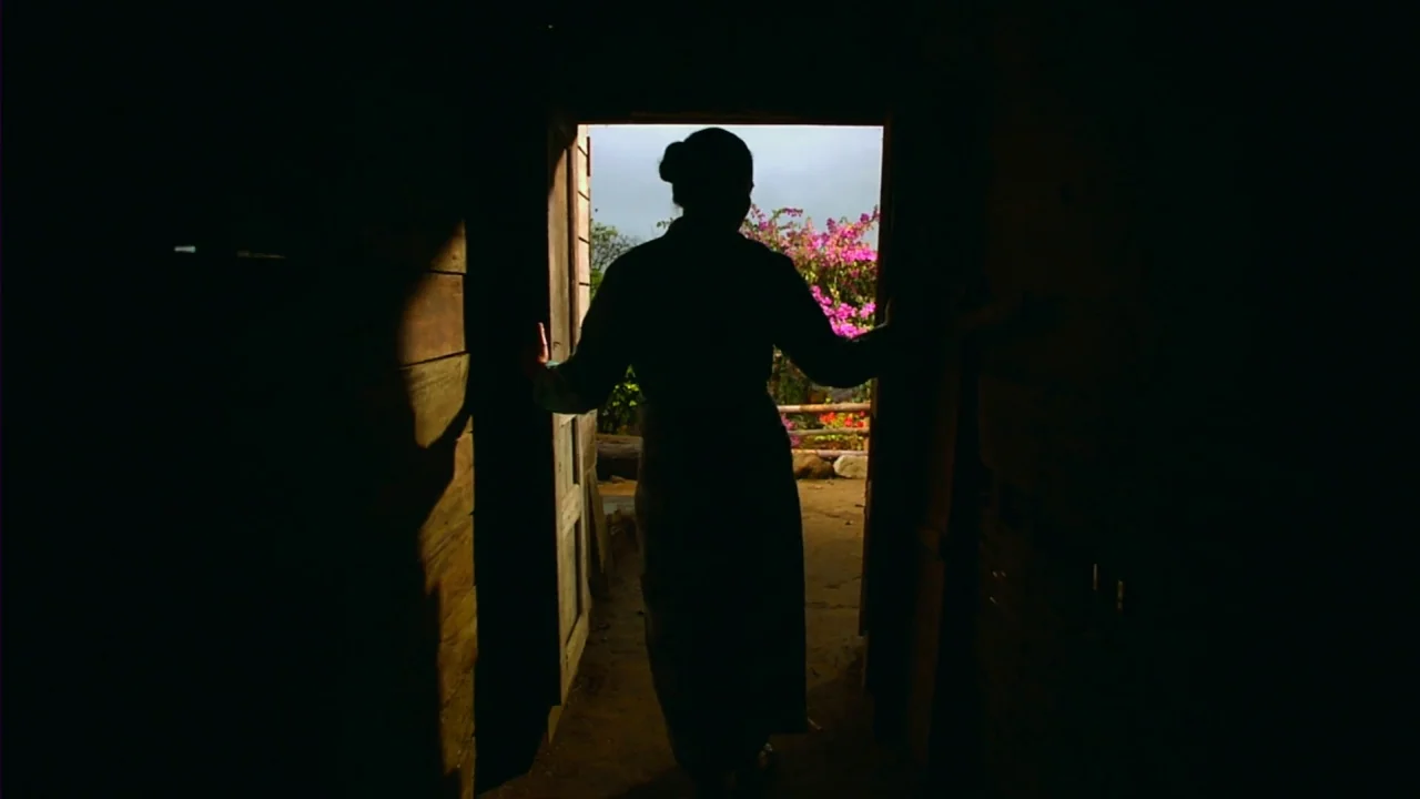 Merantau (2009) movie still: fullbody — A dark wooden room interior leads to a bright outdoor area. A woman stands in the threshold facing the…
