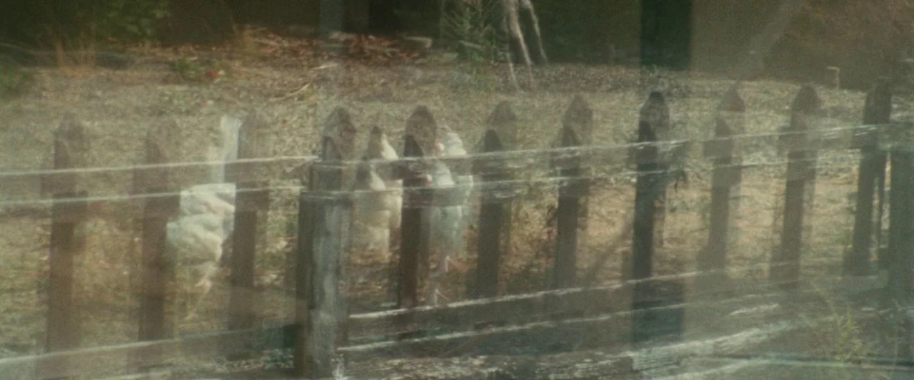 Adoration (2019) movie still: wide — A rural yard features a worn wooden picket fence set against sparse, dry ground. Several white chickens peck at…