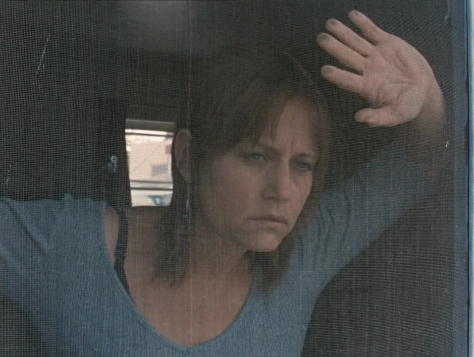 River of Grass (1994) movie still: closeup — A woman stands behind a dark wire mesh screen inside a residential doorway. She presses her hand…