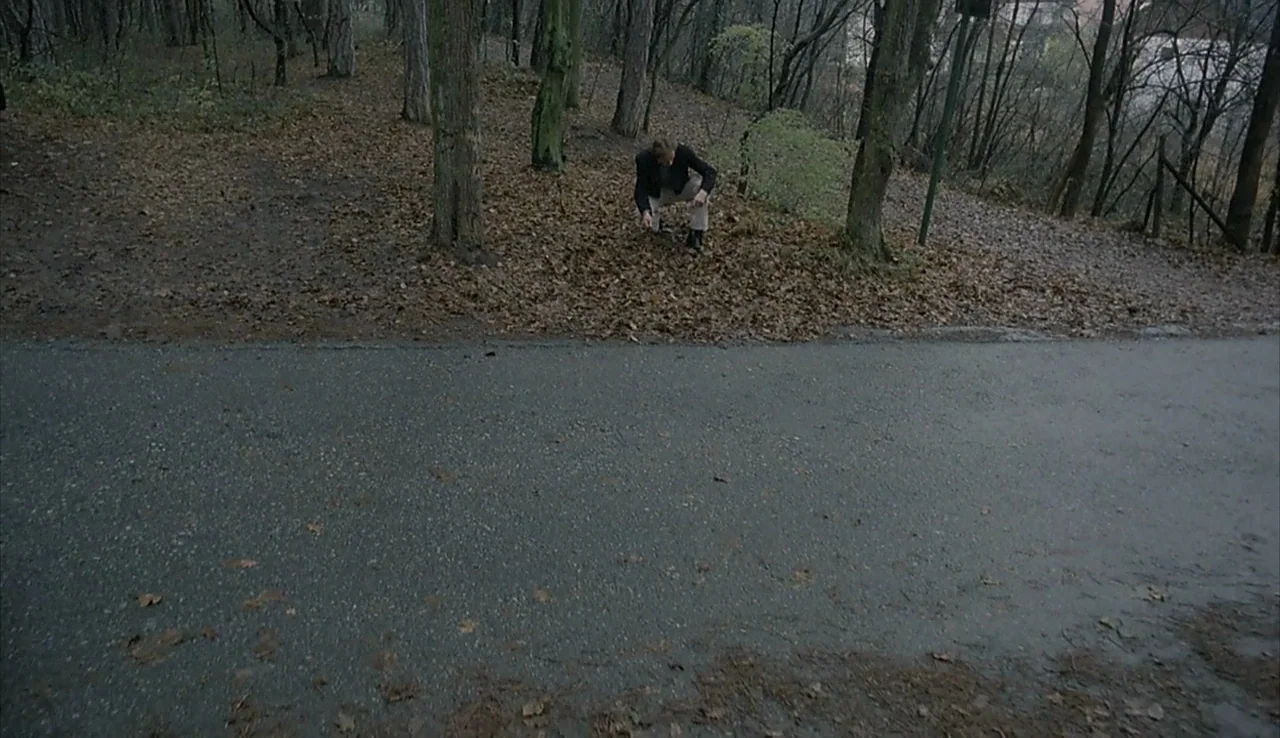 Angst (1983) movie still: wide — An overcast woodland area features a paved path bordering a slope covered in leaves. A lone man crouches on the…