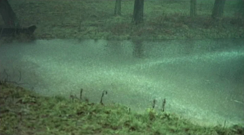 Don’t Look Now (1973) movie still: establishing — A rain-drenched pond sits in a forest clearing surrounded by thin tree trunks. The water surface…
