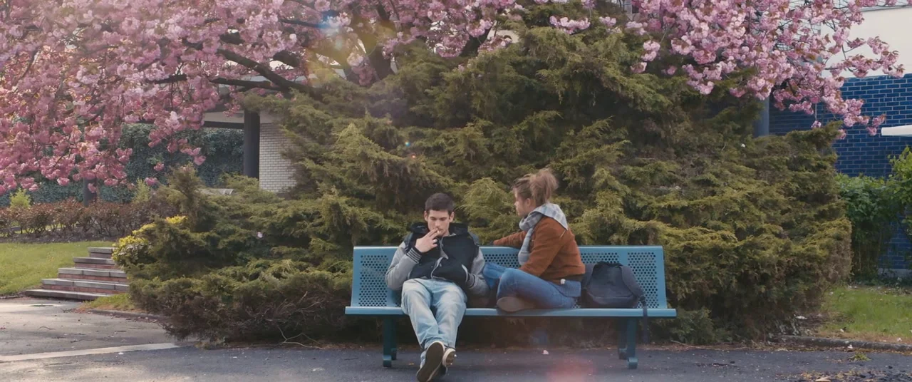 Blue Is The Warmest Colour (2013) movie still: wide — A metal bench sits under a large cherry tree in full bloom. A young man and woman sit together…