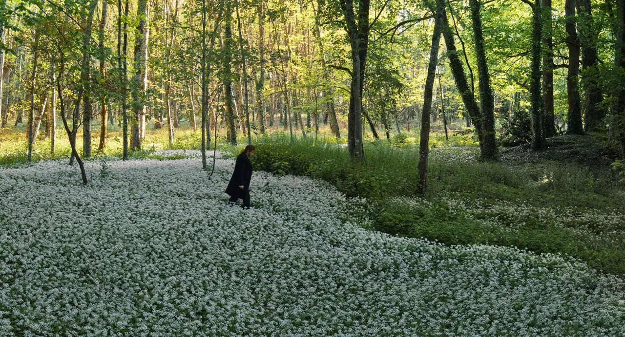 The Taste of Things (2023) movie still: wide — A dense woodland floor is covered in a thick carpet of small white flowers. A woman in a dark coat…