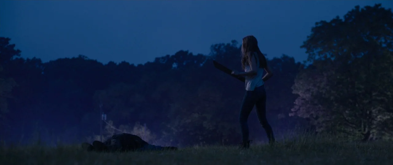 Final Girls (2015) movie still: A tense, quiet moment in a desolate field during the blue hour as a young woman confronts an unknown, prone figure.…