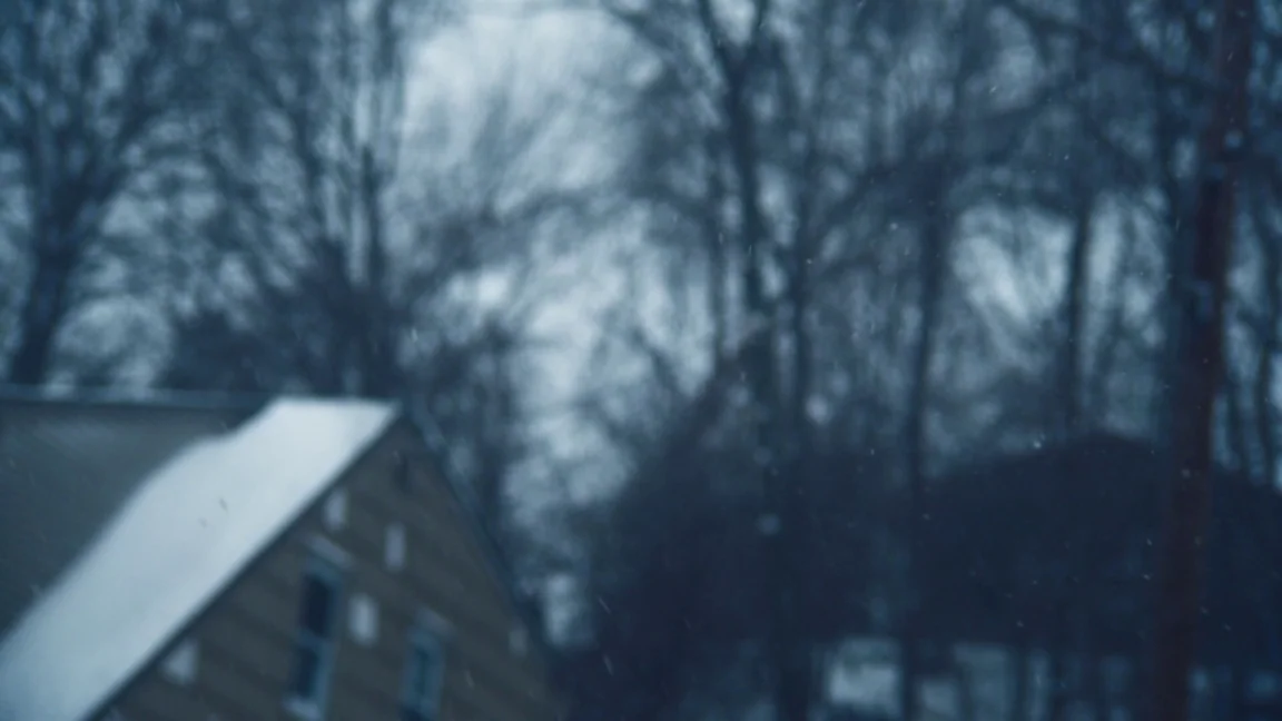 Adult World (2013) movie still: establishing — A blurred suburban house roof sits under a grey, snowy winter sky. Tall bare trees occupy the…