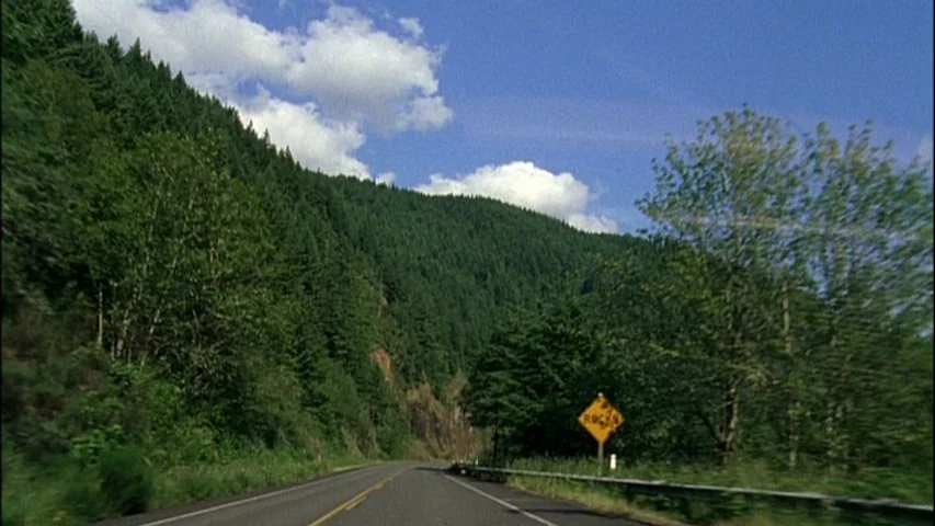 Old Joy (2006) movie still: establishing — A winding mountain road passes through a dense evergreen forest on a sunny day. A yellow diamond-shaped…