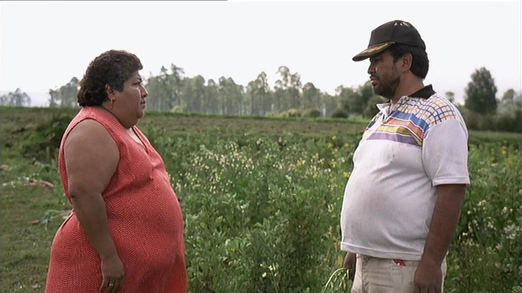 Battle In Heaven (2005) movie still: medium — Two individuals stand opposite each other in a grassy agricultural field. The background shows rows of…