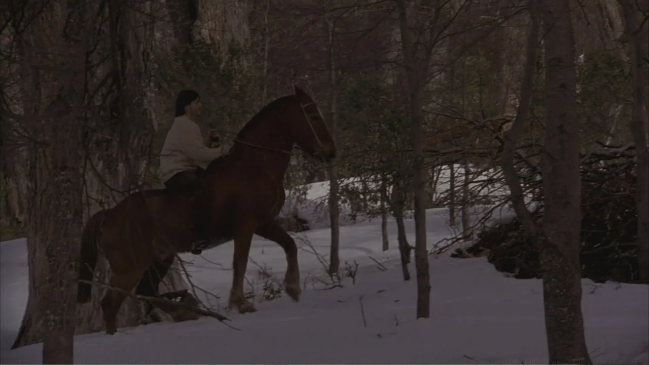 A Distant Place (2020) movie still: medium — A man rides a brown horse through a snow-covered forest area with bare trees. The man in beige clothing…