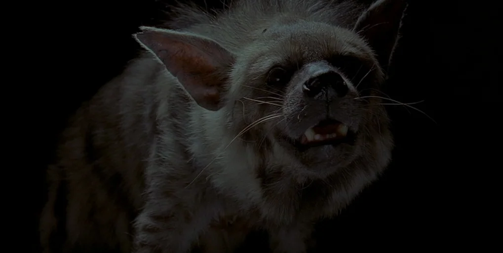 Dominion: Prequel to the Exorcist (2005) movie still: closeup — A spotted hyena stands against an absolute black background in a dimly lit…