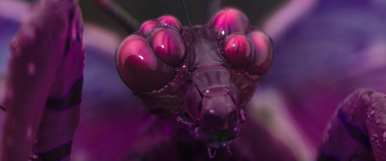 Colour Out of Space (2020) movie still: closeup — A close-up view shows the detailed head and multifaceted eyes of a praying mantis. The insect…