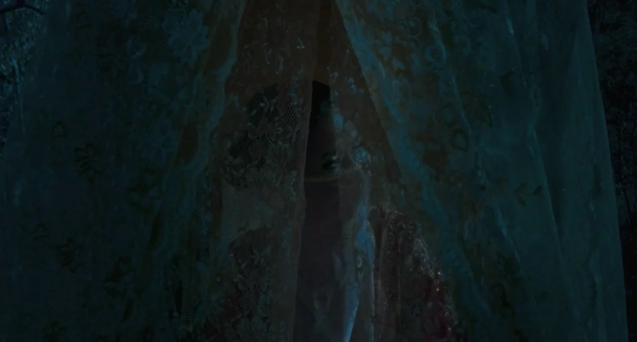 Uncle Boonme Who Can Recall His Past Lives (2010) movie still: closeup — A figure stands in a dark, outdoor setting behind a draped patterned lace…