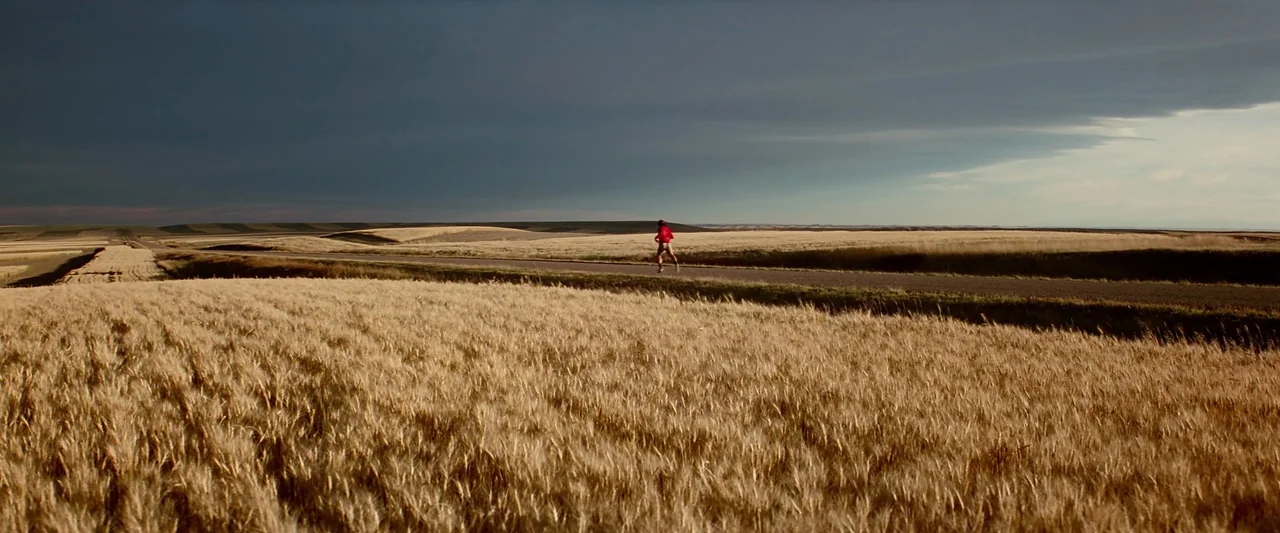 Forrest Gump (1994) movie still: wide — A vast expanse of golden wheat fields stretches toward a dark, overcast horizon. A lone runner travels down…