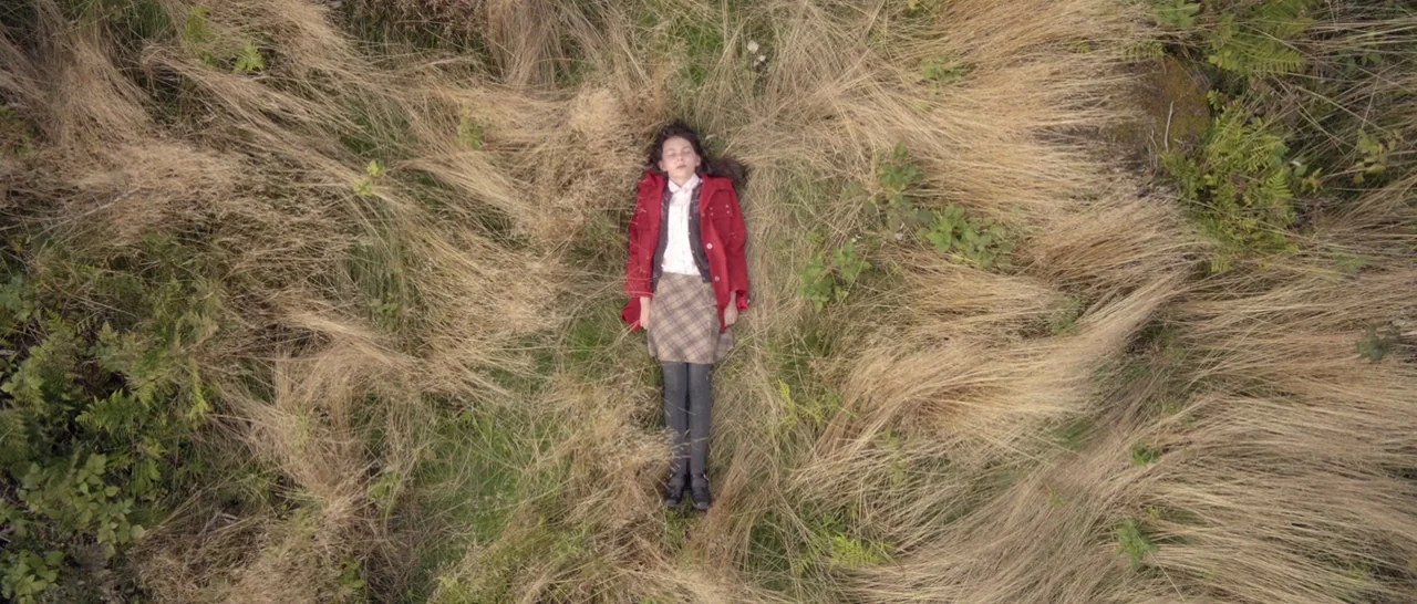 Nymphomaniac Vol 2 (2013) movie still: fullbody — An expanse of tall, dried golden grass covers the ground in a rural setting. A young girl lies…