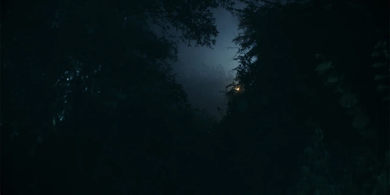 Host (2020) movie still: establishing — A dense forest canopy at night is illuminated by a faint singular light source. The surrounding vegetation…