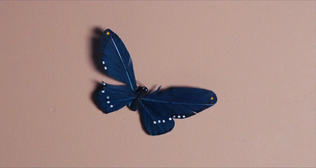 I Killed My Mother (J’ai tué ma mère) (2009) movie still: closeup — A dark blue decorative butterfly is attached to a plain beige wall surface. The…