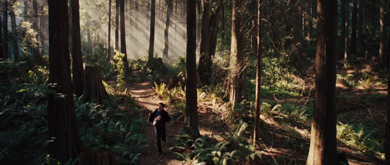 Rise of the Planet of the Apes (2011) movie still: wide — A dense coniferous forest floor features scattered tree stumps and lush green fern growth.…