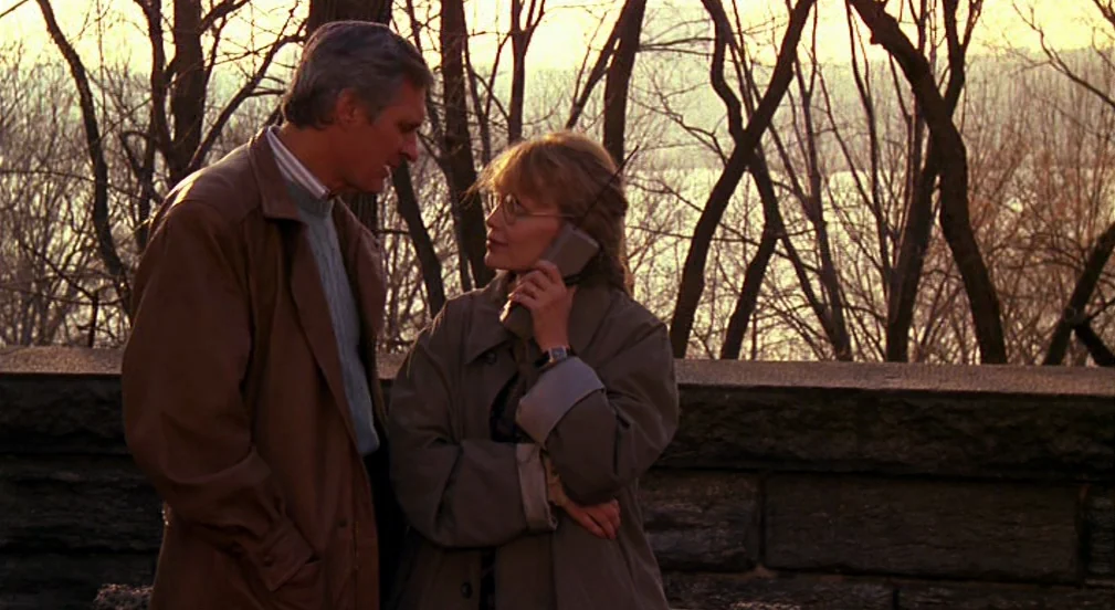 Crimes and Misdemeanors (1989) movie still: medium — A stone barrier separates the figures from a background of bare winter trees. The man stands…