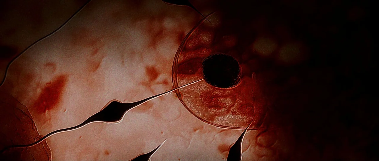 The Hallow (2015) movie still: closeup — A microscopic view of sperm cells navigating a dense biological environment near an egg. The scene shows…