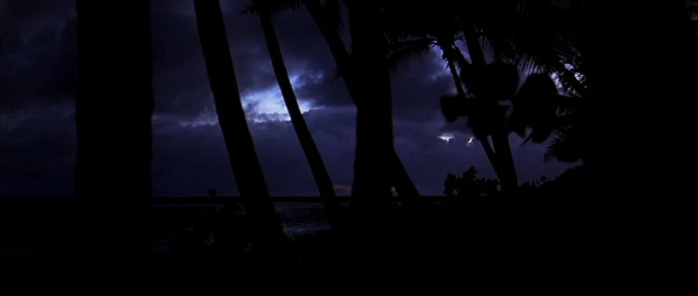 The Intruder (2004) movie still: establishing — Silhouetted palm trees frame a dark, stormy night sky above the open ocean. Intermittent flashes of…