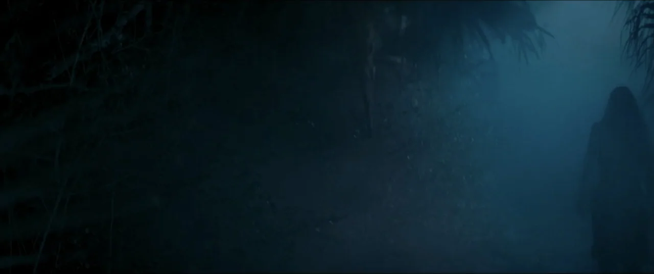 Offseason (2022) movie still: wide — A dark, dense woodland is filled with thick undergrowth and hazy blue shadows at night. A lone figure stands…