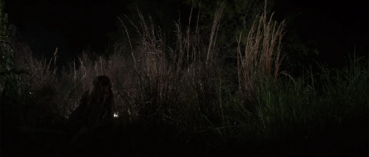 Jeepers Creepers 3 (2017) movie still: wide — A dark outdoor area featuring dense, tall wild grasses against a black background. A woman in dark…