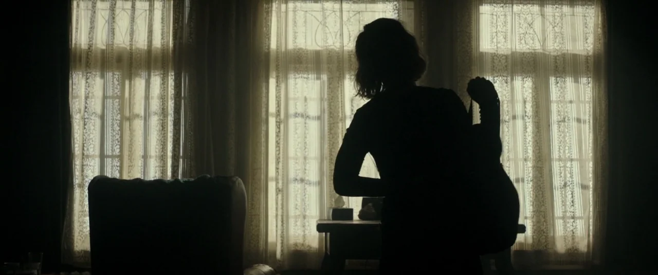 Don’t Breathe (2016) movie still: medium — A dimly lit room features large windows covered by intricate, floor-length lace curtains. A person is…