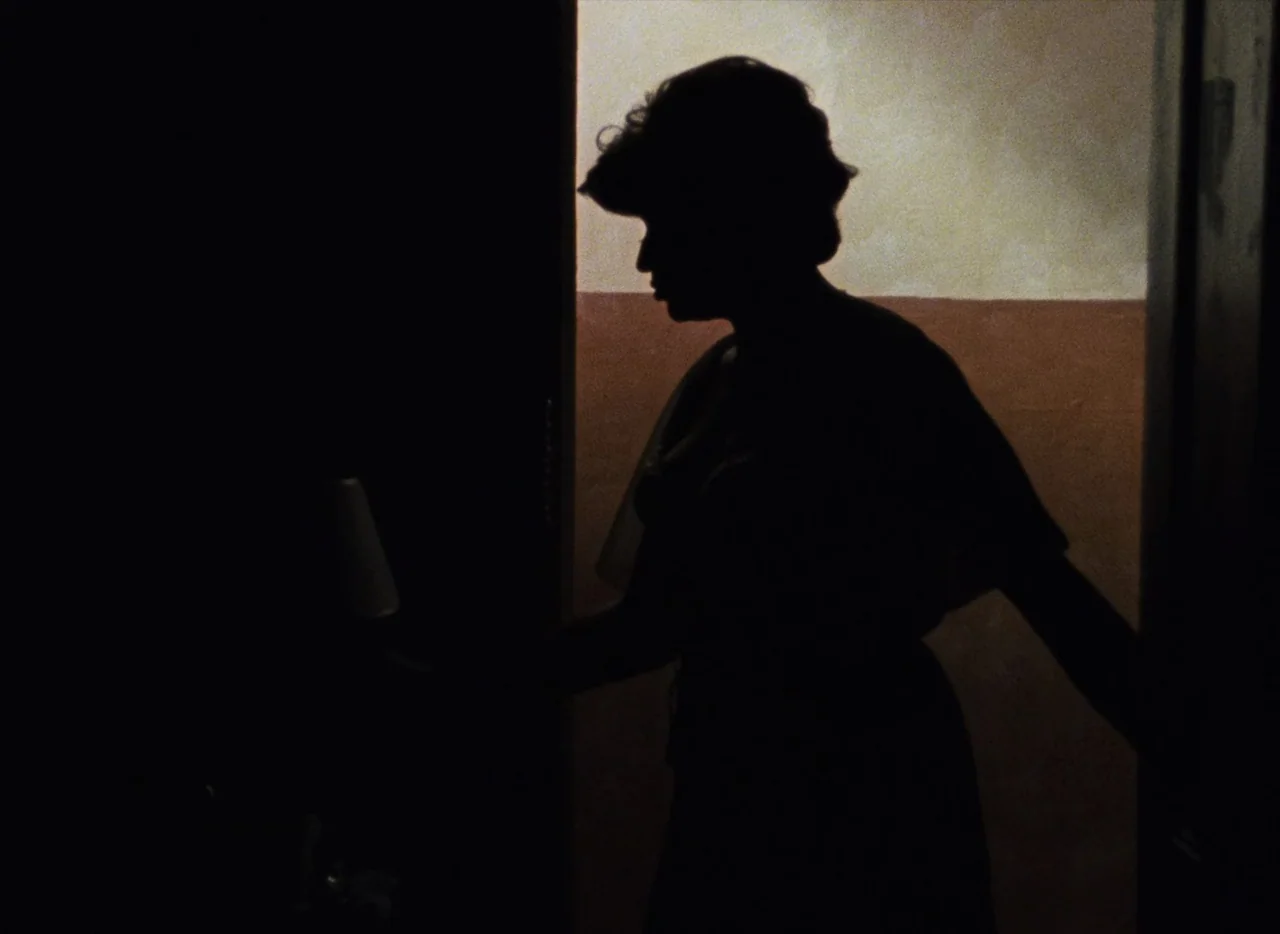 Basket Case (1982) movie still: medium — An interior space features a two-toned wall with beige upper and brown lower paint. A woman stands in the…