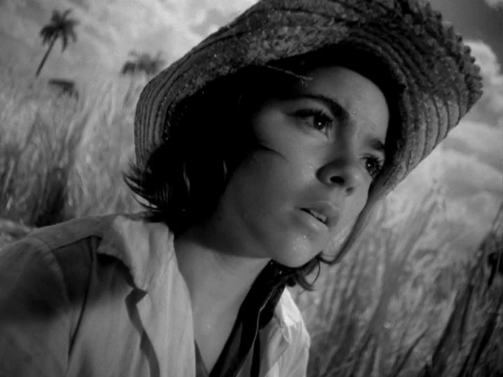 I Am Cuba (1964) movie still: closeup — An open field under a bright sky with palm trees visible in the distance. A young girl wearing a straw hat…