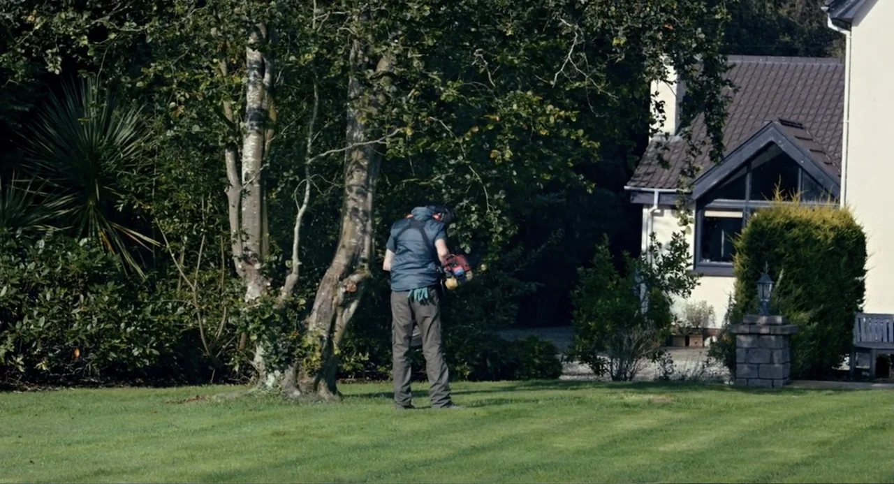 Living Out Loud (1998) movie still: fullbody — A well-maintained lawn stretches between a dense cluster of trees and a house. A person stands facing…